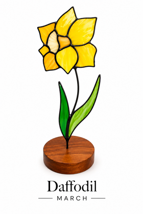 Daffodil illustration