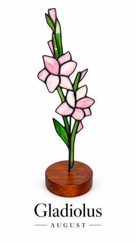 Gladiolus illustration